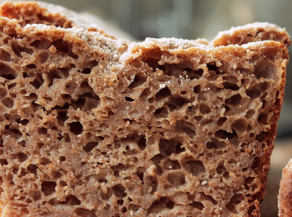 Introducing 100 RYE Wheat free Fermented Rye Breads Treats 