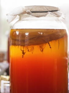 Favorite Fermentation Equipment: Kombucha | Nourishing Days